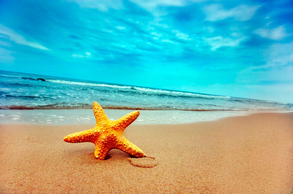 Фотообои Пляж, морская звезда