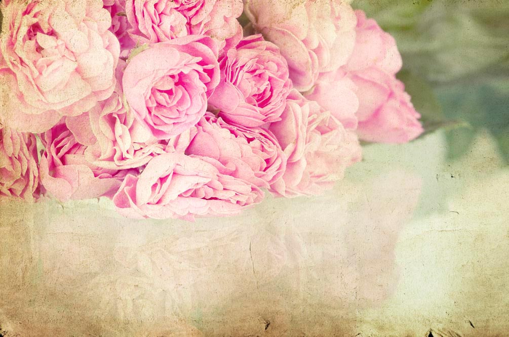 Фотообои Пионы бледно-розовые