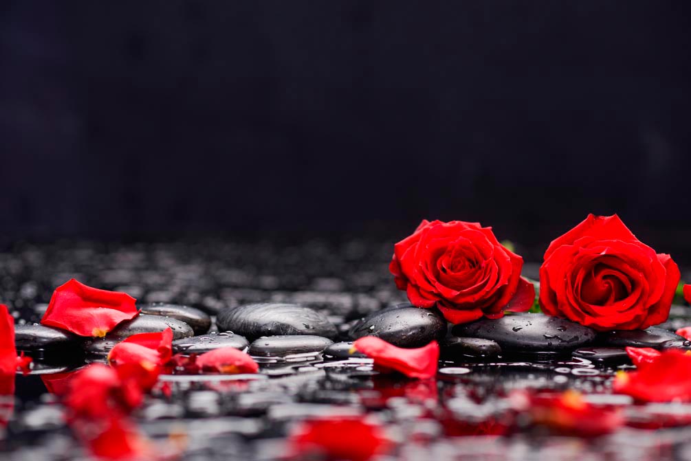 Фотообои Розы на камнях