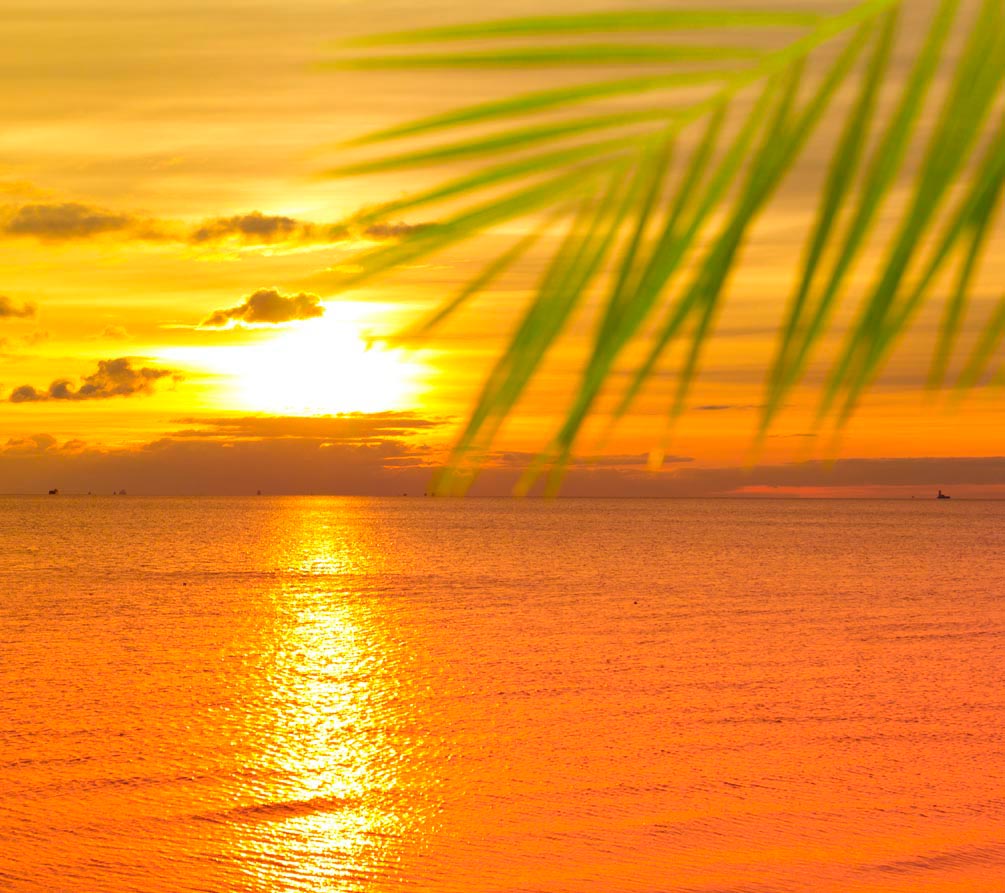 Фотообои Море, закат, пальмы