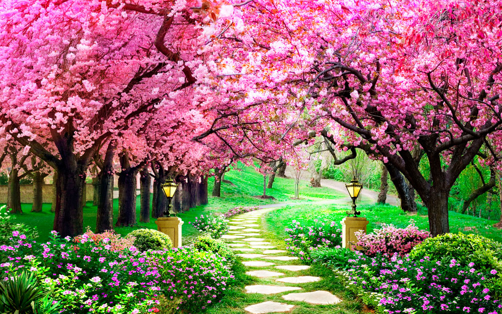 Фотообои Тоннель из розовых деревьев