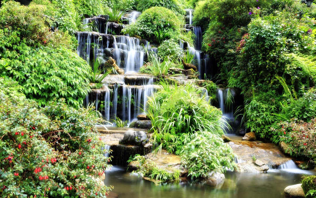 Фотообои водопад среди зелени