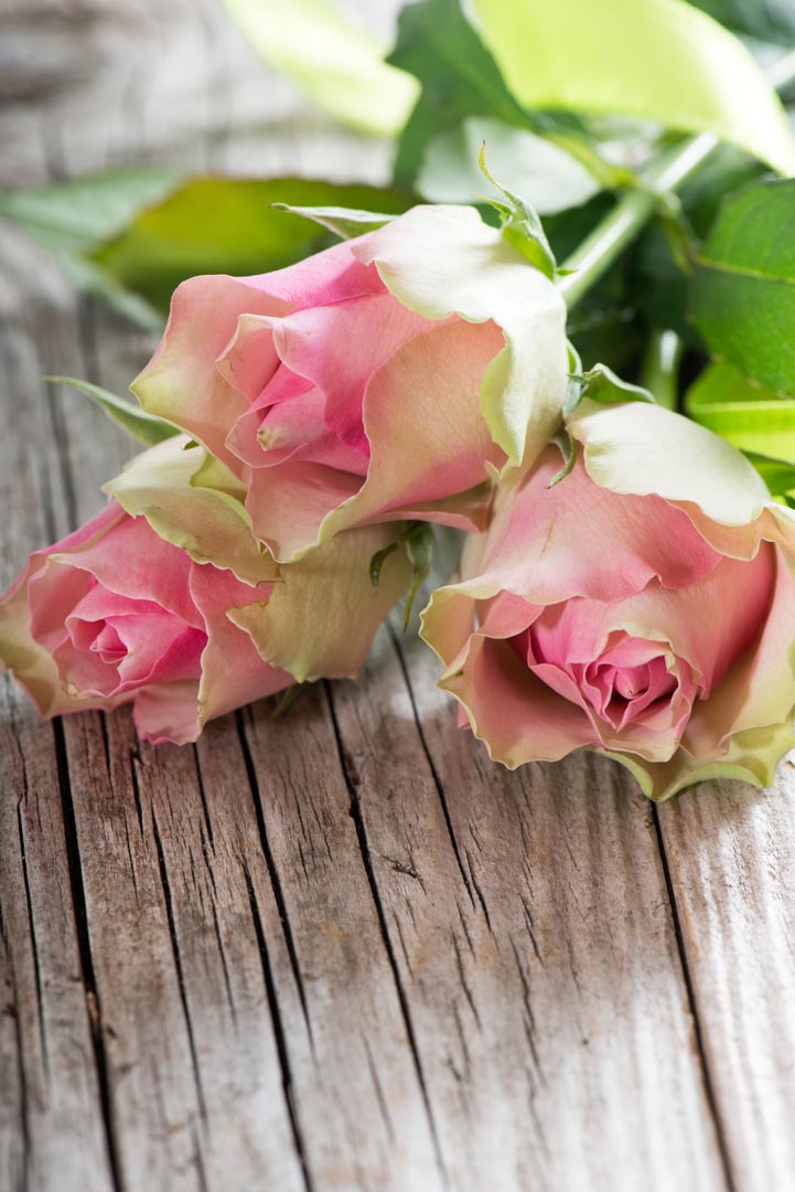 Фотообои розы на деревянном столе