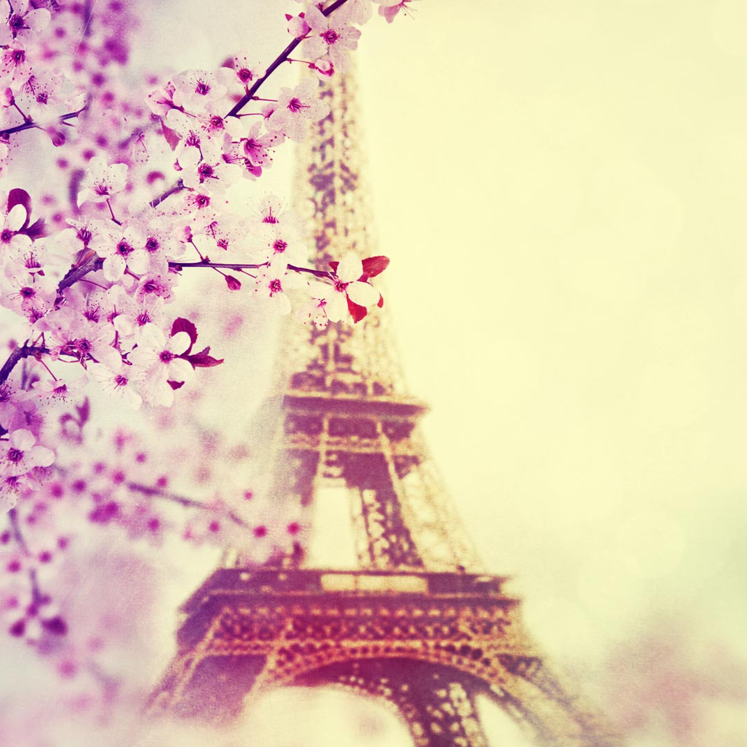 Фотообои весна в Париже