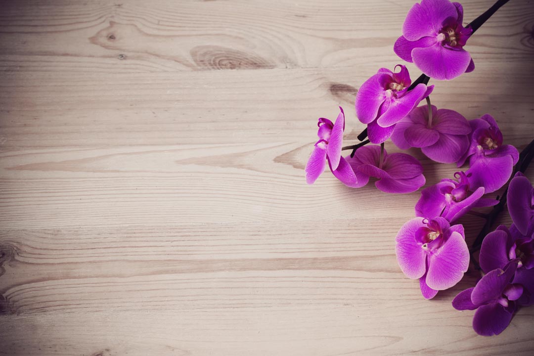 Фотообои фиолетовая орхидея на деревянном фоне