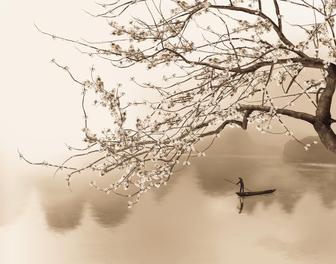 Фотообои на лодке под цветущим деревом