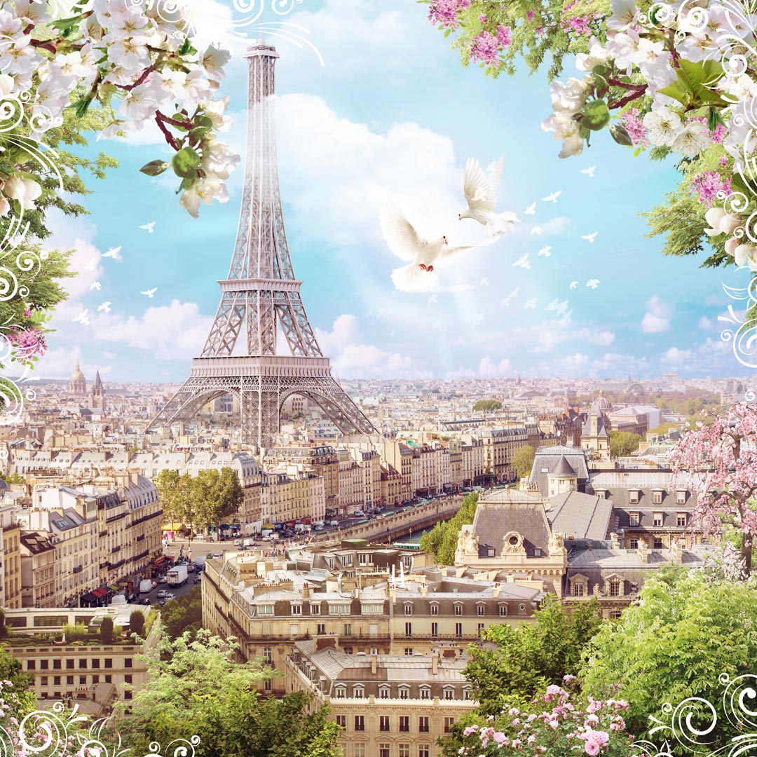 Фотообои голуби и Париж