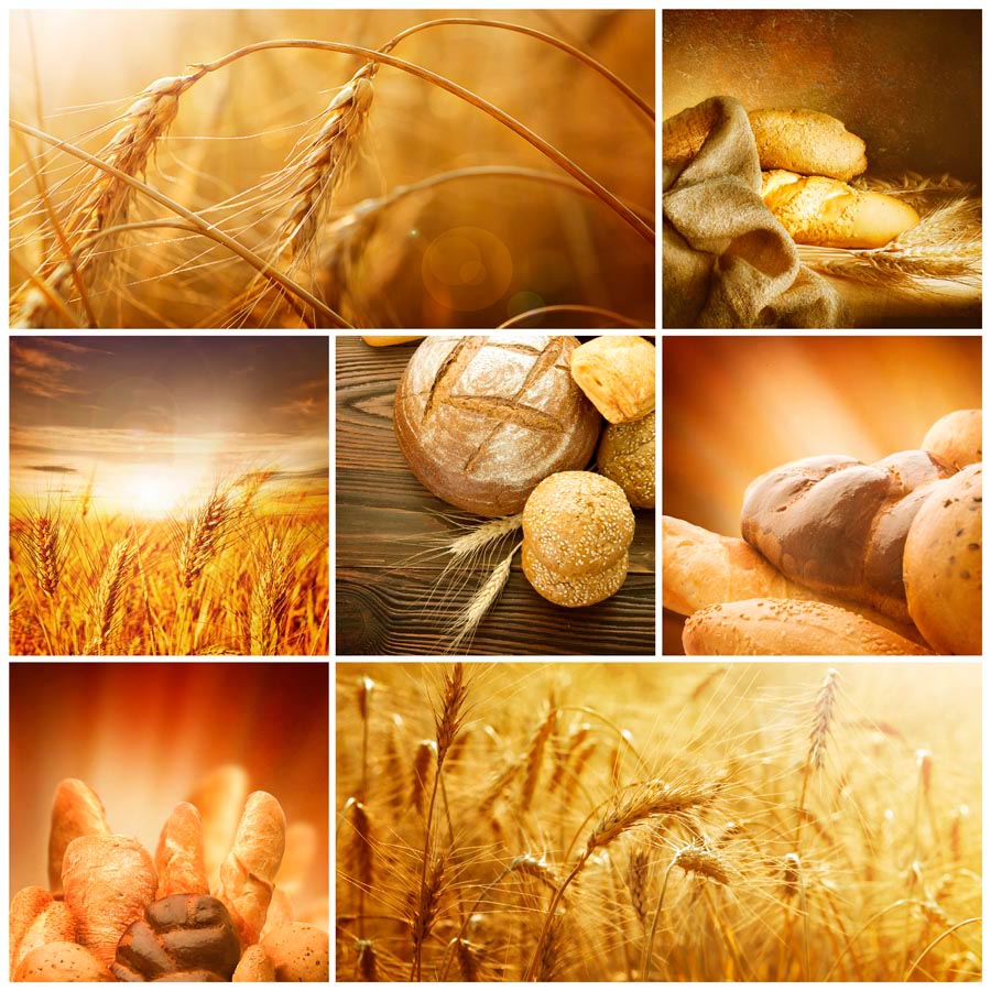 Фотообои Пшеница, хлеб