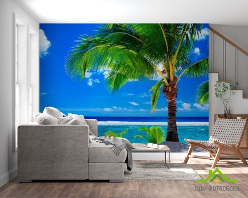 выбрать Фотообои Раскидистая пальма Фотообои Фотообои Пляж: горизонталная, горизонтальная ориентация на стену