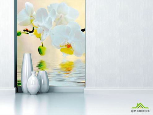 выбрать Фотообои Белоснежные орхидеи в воде Фотообои Фотообои Цветы: вертикальная на стену