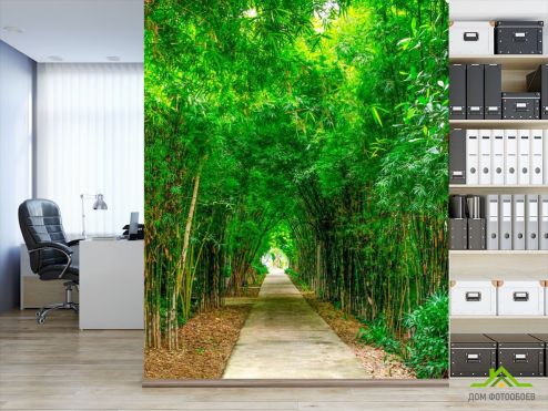 выбрать Фотошпалери Бамбук, дорга, плита Фотошпалери Фотошпалери ліс: вертикальна орієнтація на стіну