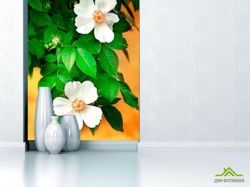 выбрать Фотошпалери Цвіте шипшина Фотошпалери Фотошпалери Квіти: зелений, зелений на стіну