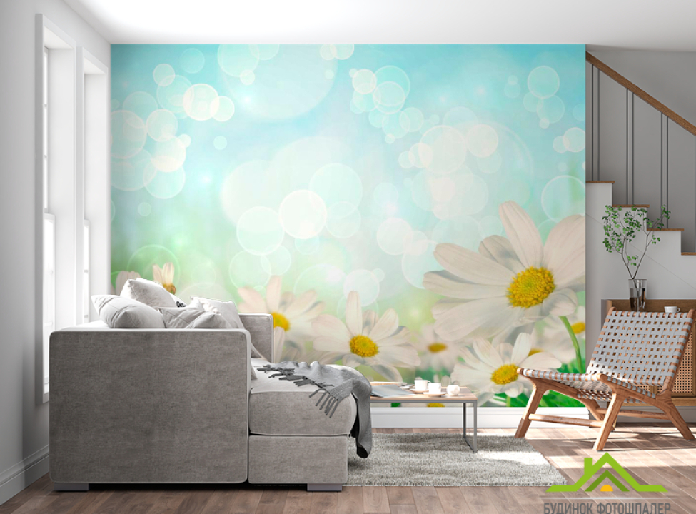 выбрать Фотошпалери Білосніжні ромашки Каталог фотошпалер на стіну
