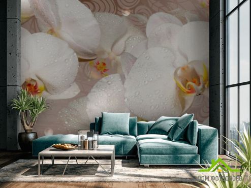 выбрать Фотообои 3D цветы  на стену