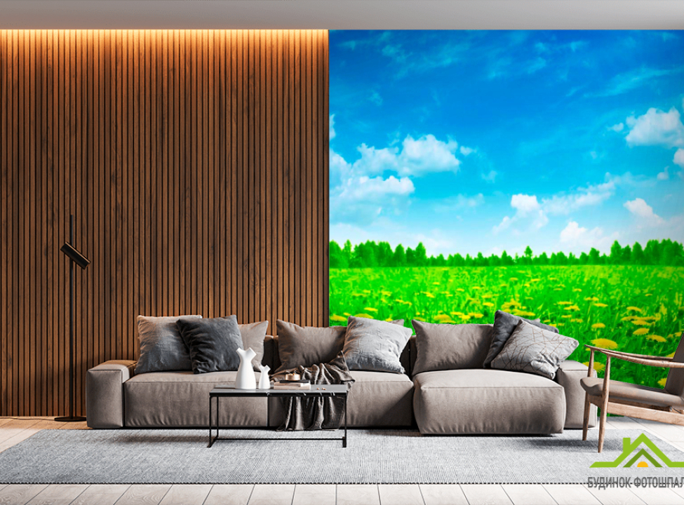 выбрать Фотошпалери Кульбаба, небо Каталог фотошпалер на стіну