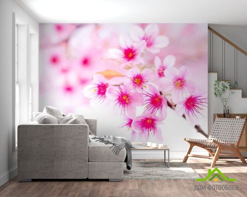 выбрать Фотообои Цветущее весной дерево Фотообои Фотообои Цветы:  на стену