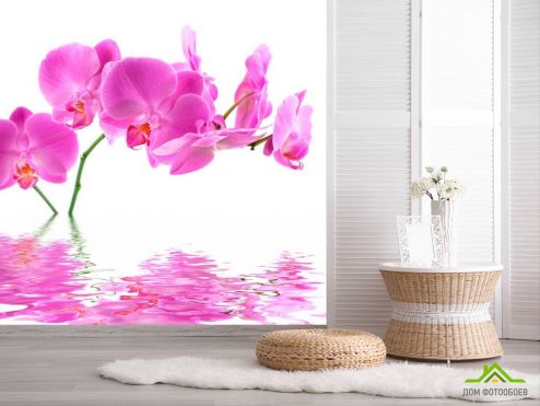 выбрать Фотообои В воде орхидеи Розовые фотообои на стену
