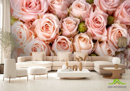 выбрать Фотообои нежные розовые розы Фотообои, цвет: «» на стену