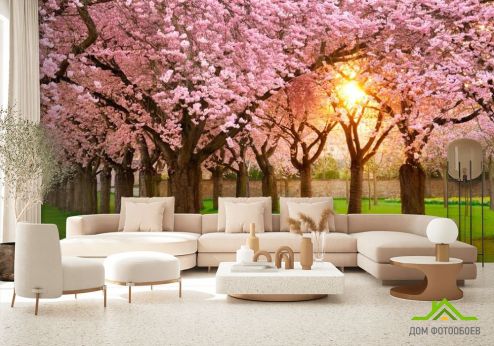 выбрать Фотообои Цветущие вишни Фотообои Фотообои Розовые деревья: фото, горизонталная, горизонтальная  на стену