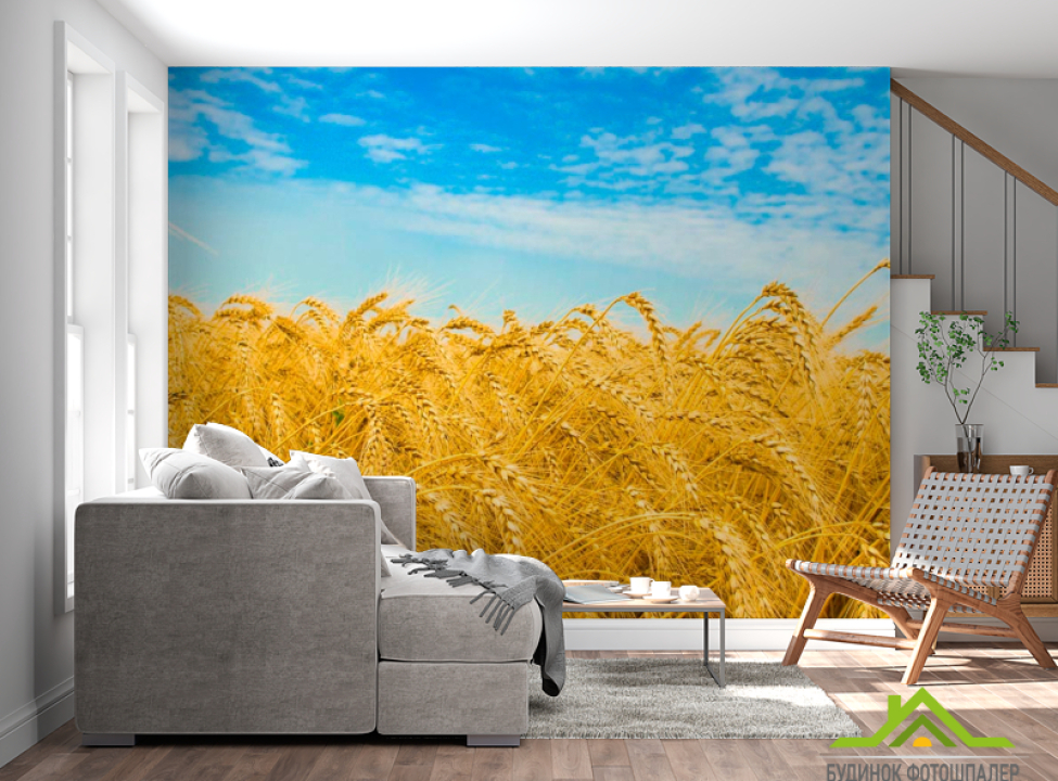 выбрать Фотообои Пшеница Каталог фотообоев на стену