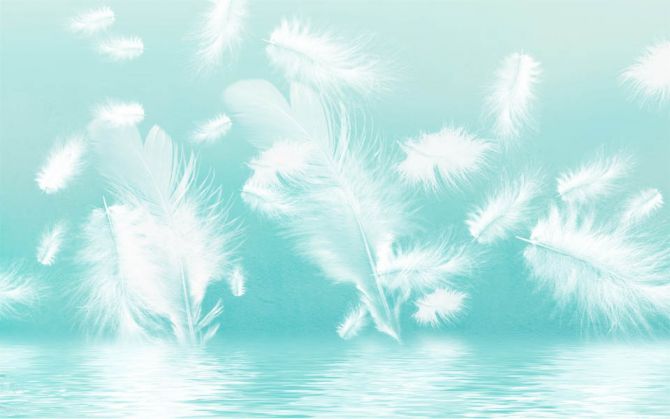 Фотообои Белые перья на бирюзовом фоне
