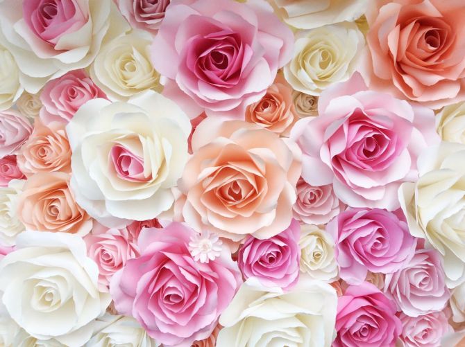 Фотообои розы нежных цветов