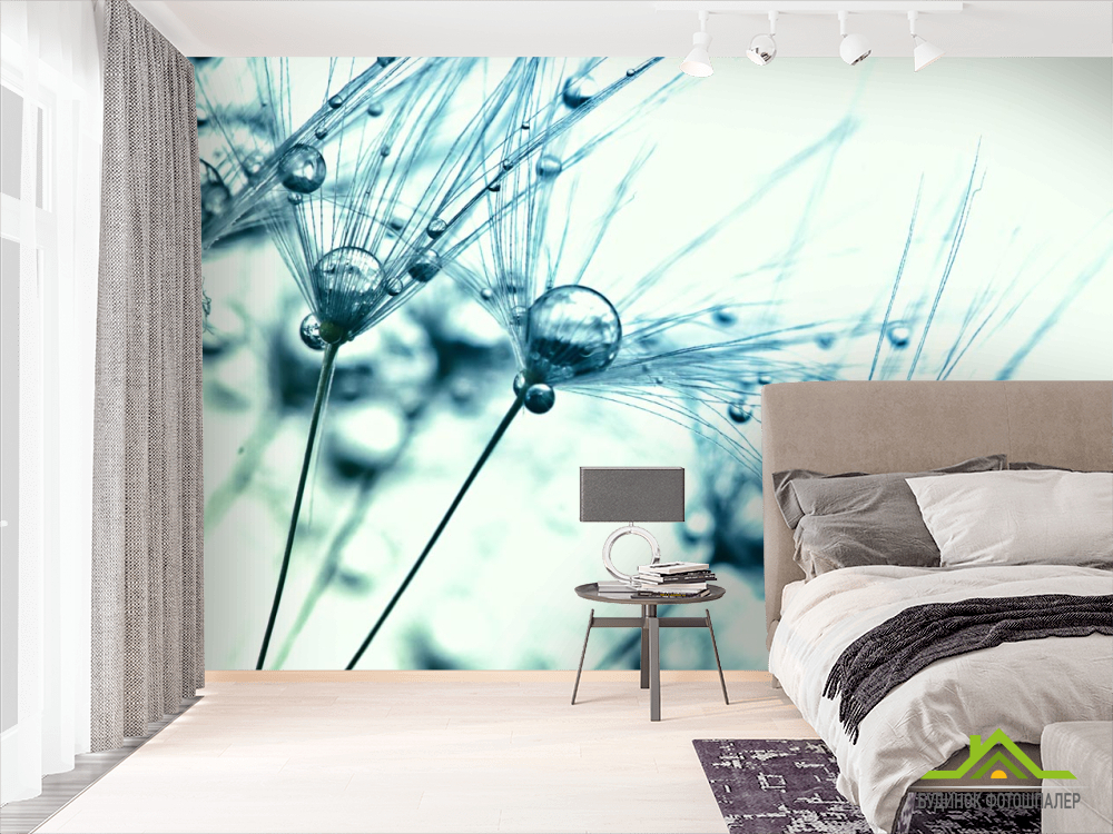 Фотошпалери роса на кульбабі