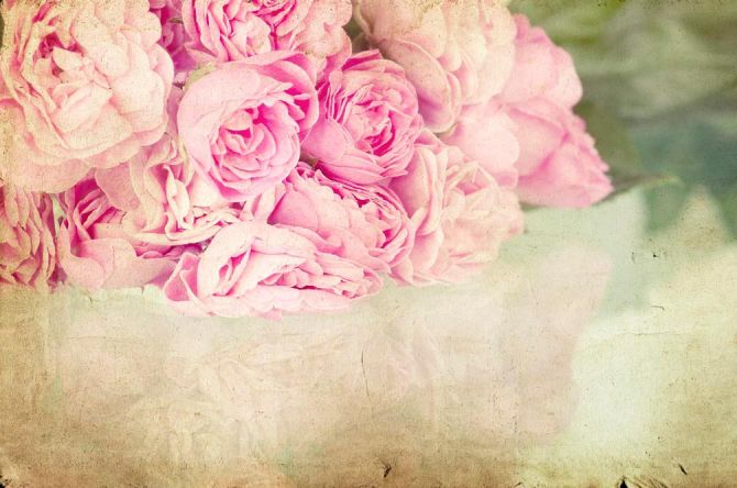 Фотошпалери Квіти блідо-рожеві
