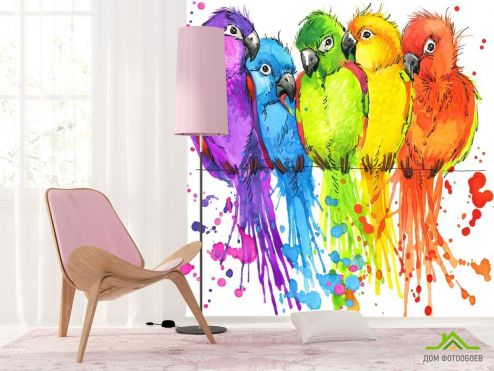 выбрать Фотошпалери п'ять різнокольорових папуг малюнок Фотошпалери Тварини на стіну
