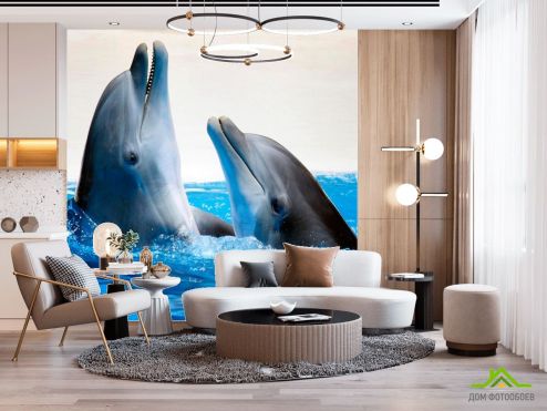 выбрать Фотошпалери Спілкування дельфінів Фотошпалери Фотошпалери Тварини: квадратна, блакитний орієнтація на стіну