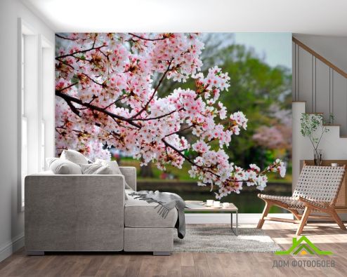 выбрать Фотообои Цветущий вишневый сад Фотообои Вишня на стену