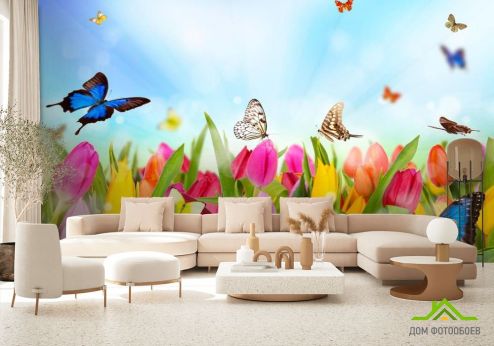 выбрать Фотообои Тюльпаны, поле, бабочки Фотообои Фотообои Цветы: фото  на стену