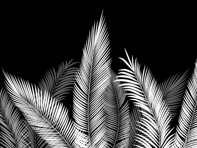Фотообои графические  пальмовые листья