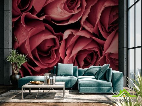 выбрать Фотообои Красные розы  на стену