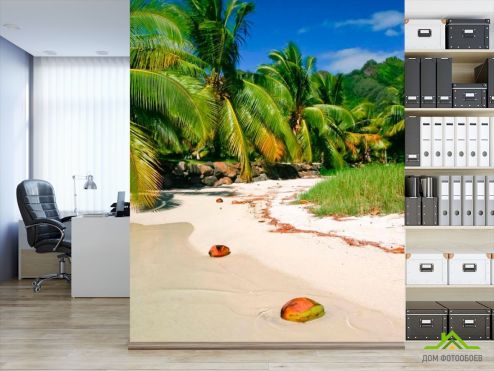 выбрать Фотообои Кокосы на пляже Зеленые фотообои на стену