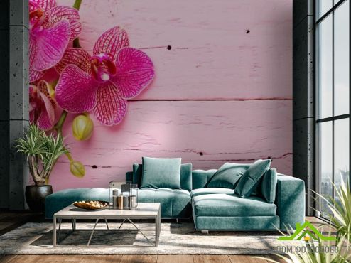 выбрать Фотообои Розовая орхидея Розовые фотообои на стену