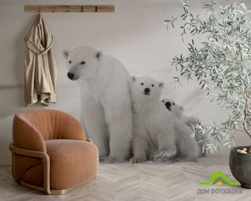 выбрать Фотообои Медведи полярные Фотообои Фотообои Животные: горизонталная, горизонтальная ориентация на стену