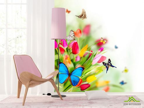 выбрать Фотообои Тюльпаны и бабочки Фотообои Фотообои Цветы: фото, разноцветный  на стену