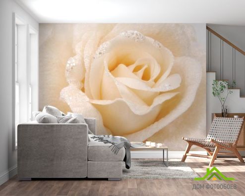 выбрать Фотообои бежевая роза из ткани с блестками Фотообои Фотообои Цветы: горизонталная, горизонтальная ориентация на стену