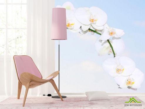 выбрать Фотообои Ветка белоснежных орхидей Фотообои Цветы на стену