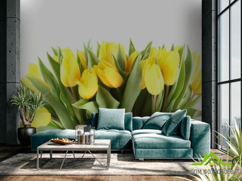 выбрать Фотообои желтые тюльпаны Фотообои Тюльпаны на стену
