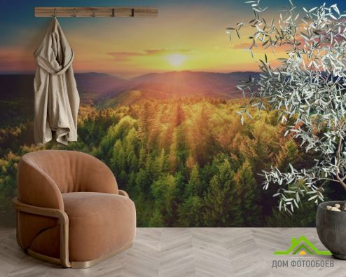 выбрать Фотообои закат над сосновым лесом Фотообои, цвет: «горизонталная, горизонтальная» на стену
