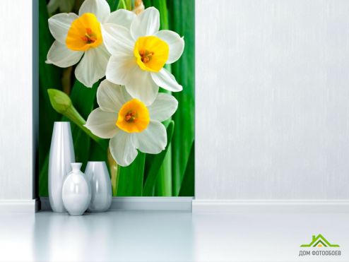 выбрать Фотообои Нарциссы обынковенные Фотообои Фотообои Цветы: зелений, зеленый на стену