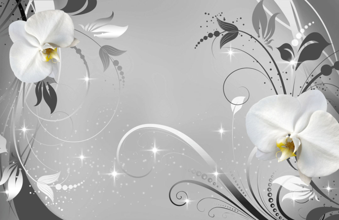 Фотообои Белые орхидеи на сером фоне