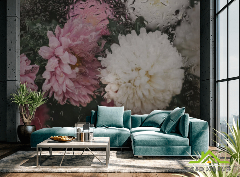 выбрать Фотошпалери Хризантеми з краплями дощу Каталог фотошпалер на стіну