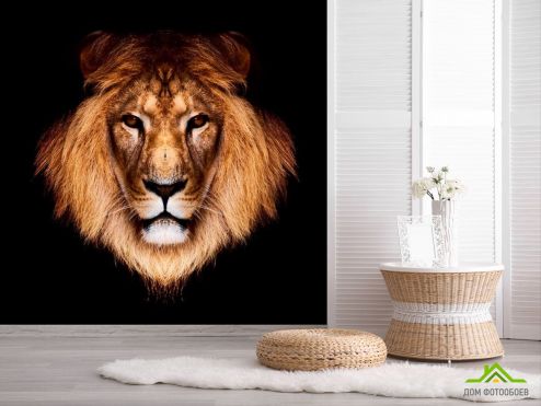 выбрать Фотообои Царь зверей Фотообои Львы на стену