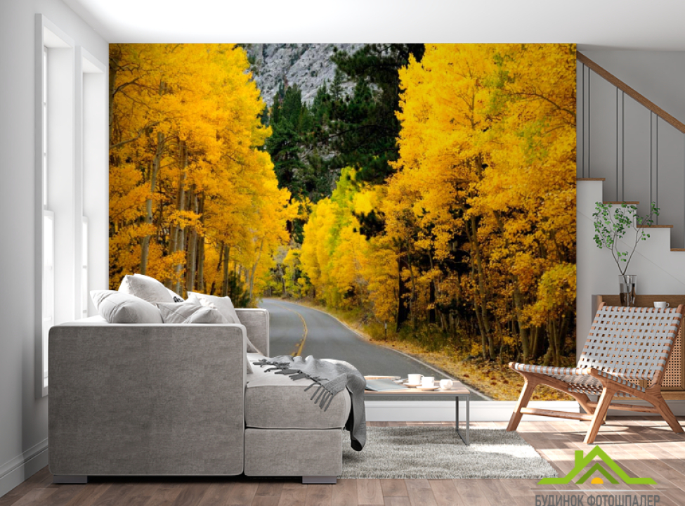 выбрать Фотошпалери Дорога в осінь Фотошпалери ліс на стіну