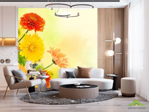 выбрать Фотообои Хризантемы разных оттенков Фотообои Цветы на стену