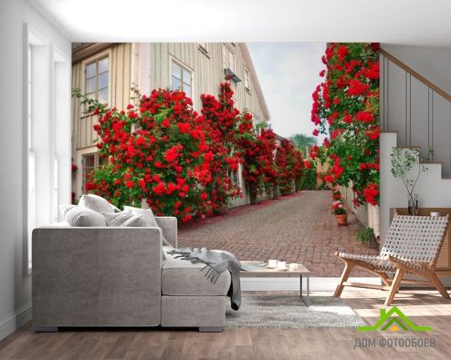 выбрать Фотошпалери Троянди в провулку Фотошпалери, колір: «різнобарвний» на стіну