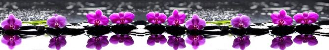 Фотошпалери фіолетові орхідеї на каменях